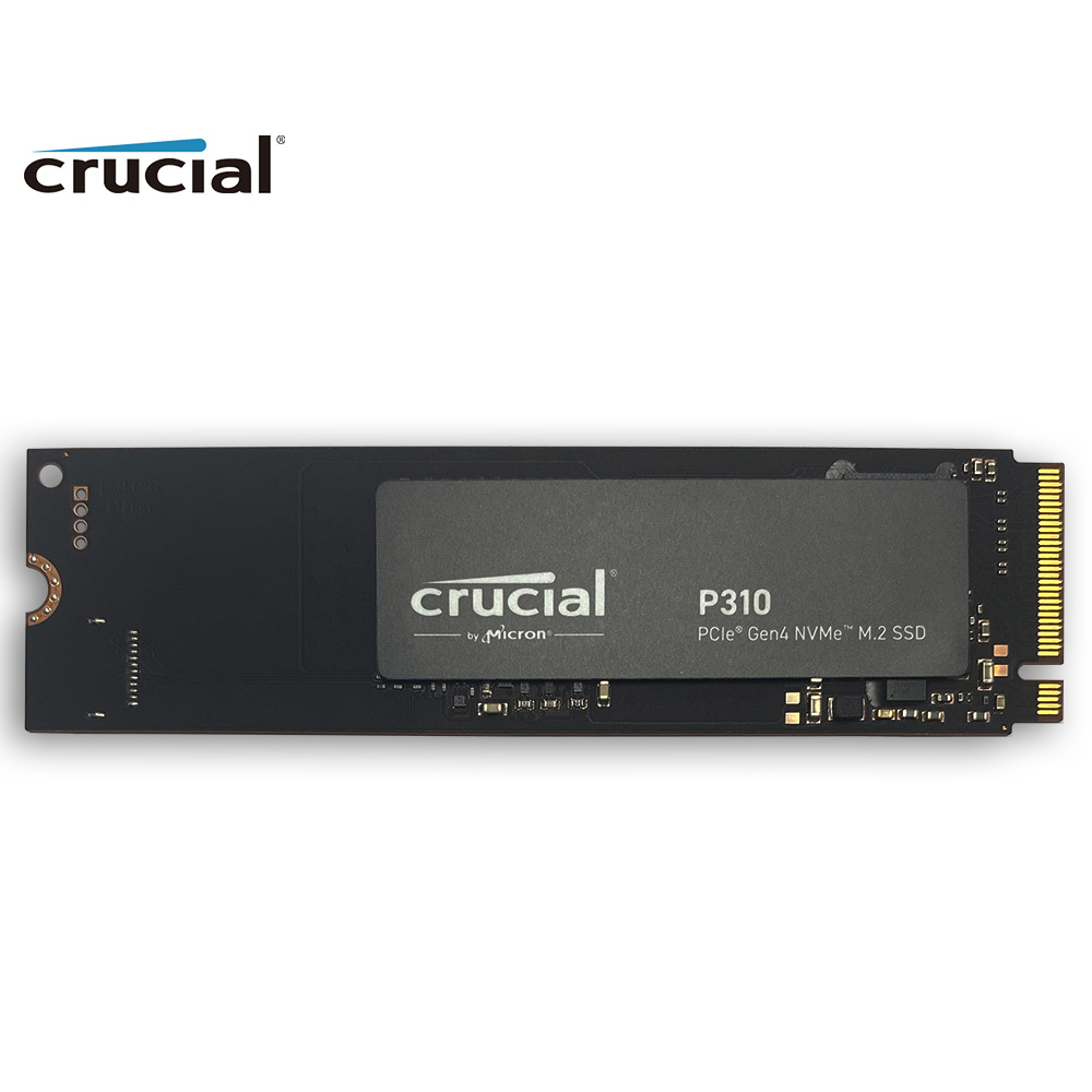 Penting P310 1TB 2280 PCIe Gen - Work Office Furniture ulasan dan harga
